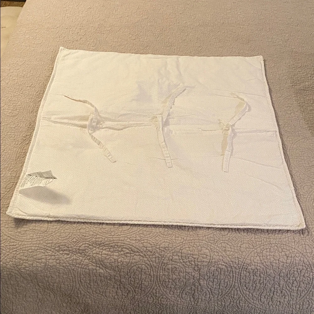 Pottery Barn Kids Lola Quilt Set